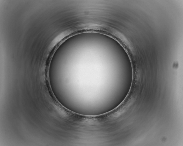 X0000102350978200808011200