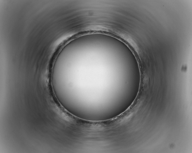 X0000102350979200808011200