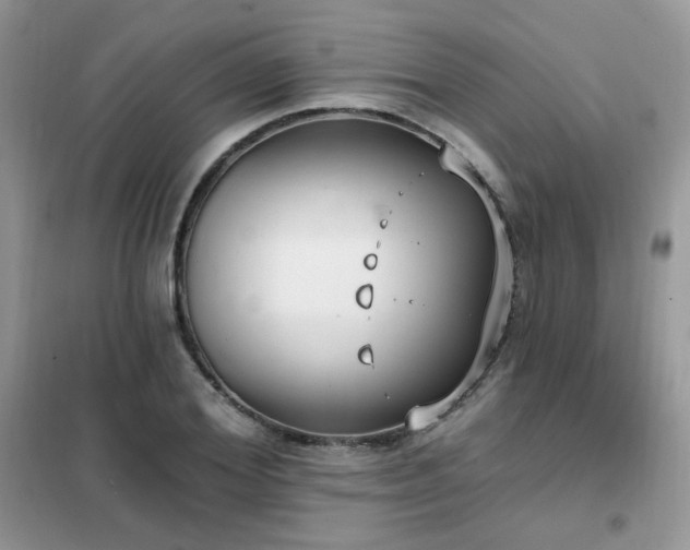 X0000102350980200808011200