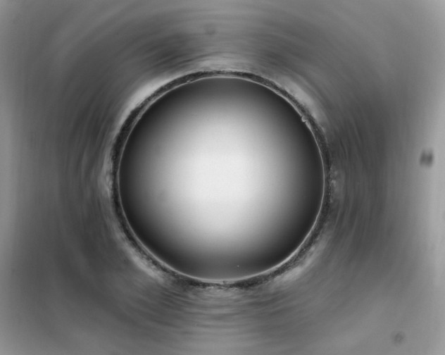 X0000102350981200808011200