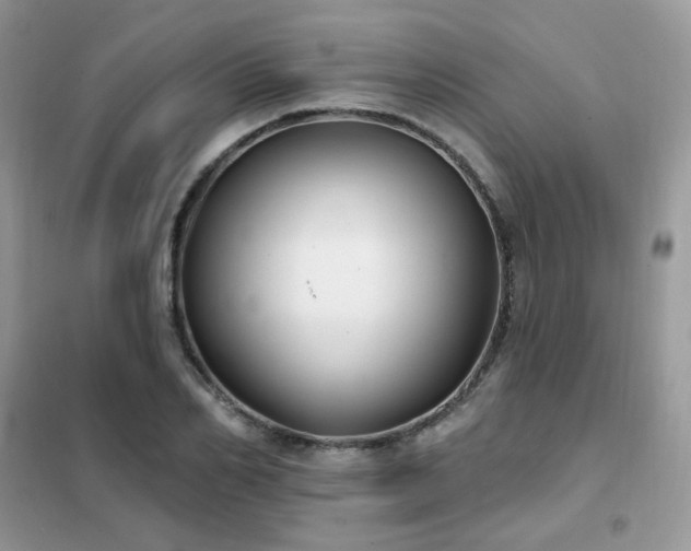 X0000102350982200808011200