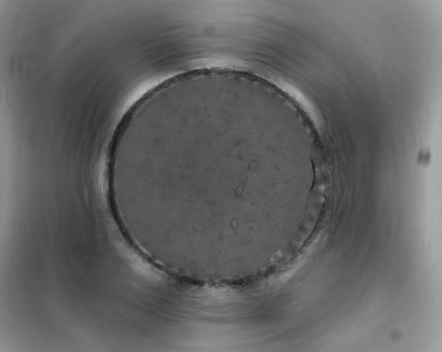 X0000102350983200808011159