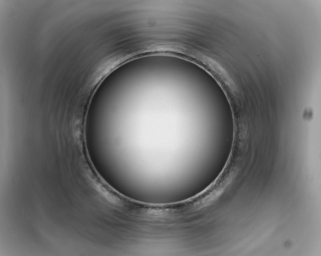 X0000102350985200808011159