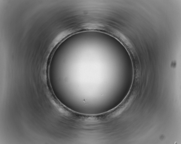 X0000102350986200808011159