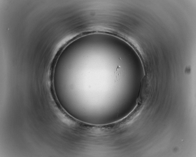 X0000102350987200808011159