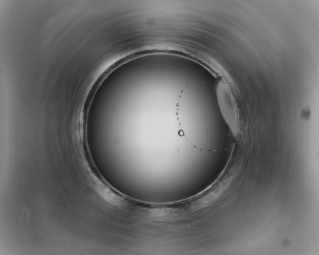 X0000102350988200808011159