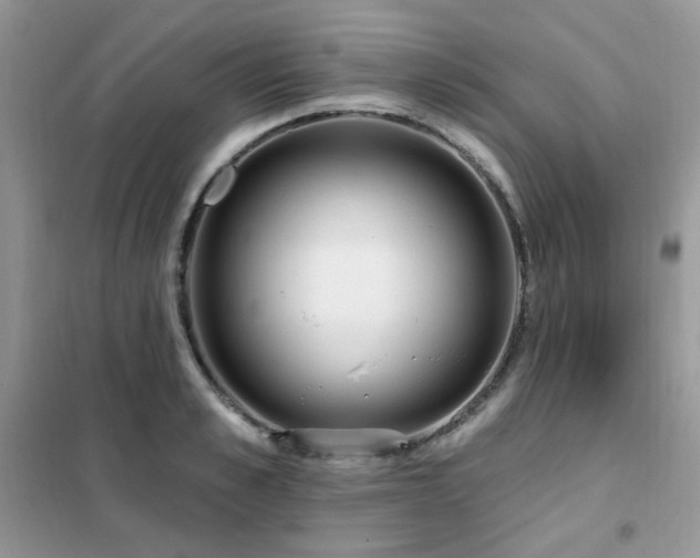 X0000102350989200808011159