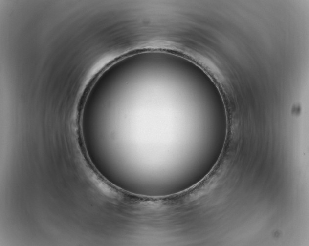 X0000102350990200808011159