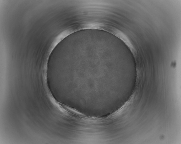 X0000102350994200808011159