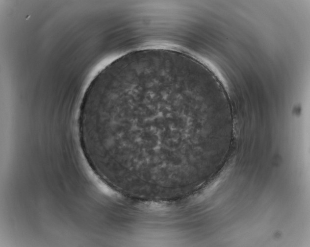 X0000102350995200808011159