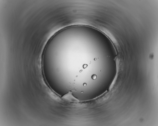 X0000102350996200808011159