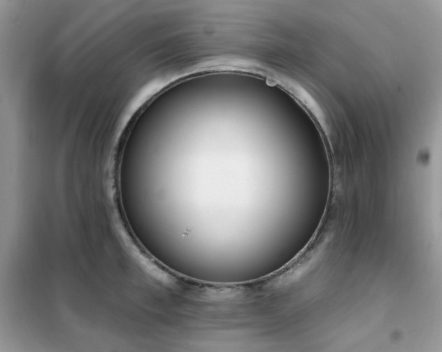 X0000102350997200808011159