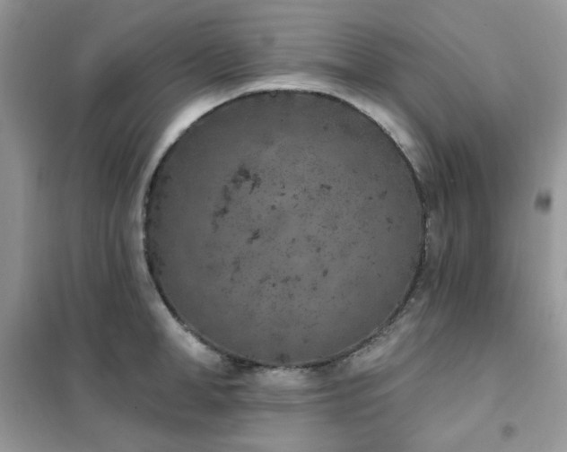 X0000102350998200808011159