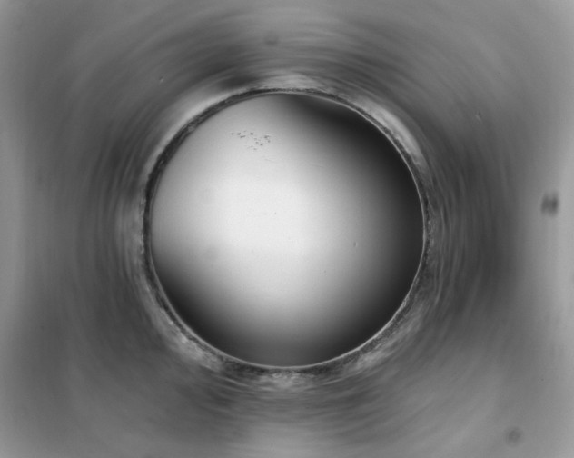 X0000102351000200808011159