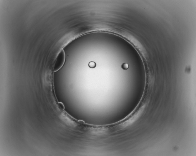 X0000102351001200808011159