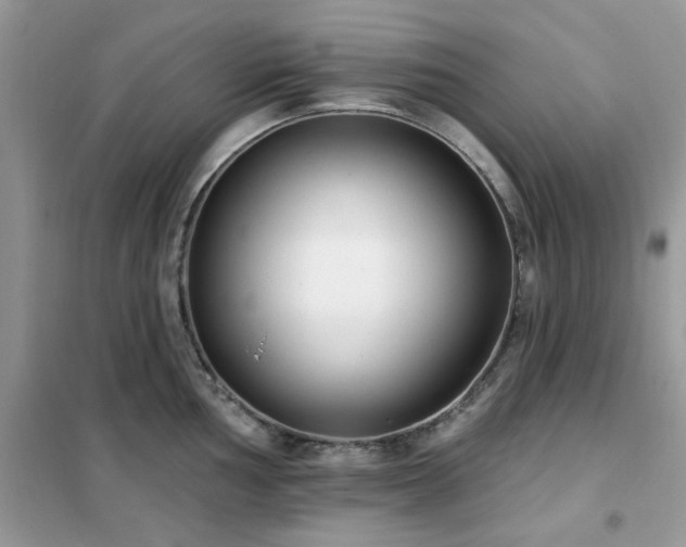 X0000102351002200808011159