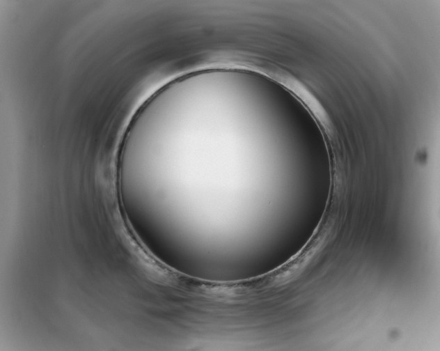 X0000102351004200808011159