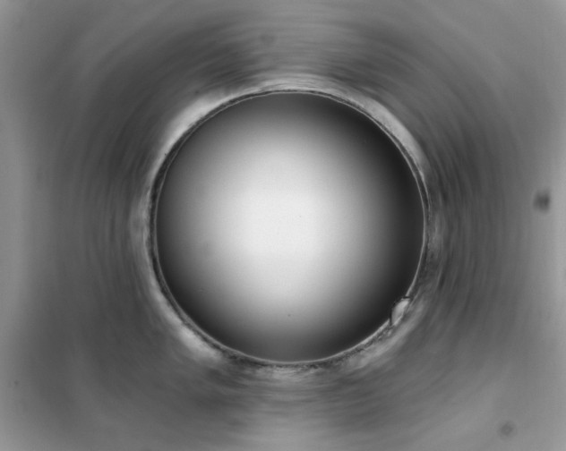 X0000102351005200808011159