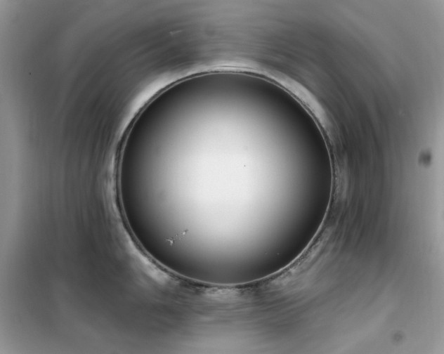 X0000102351006200808011159