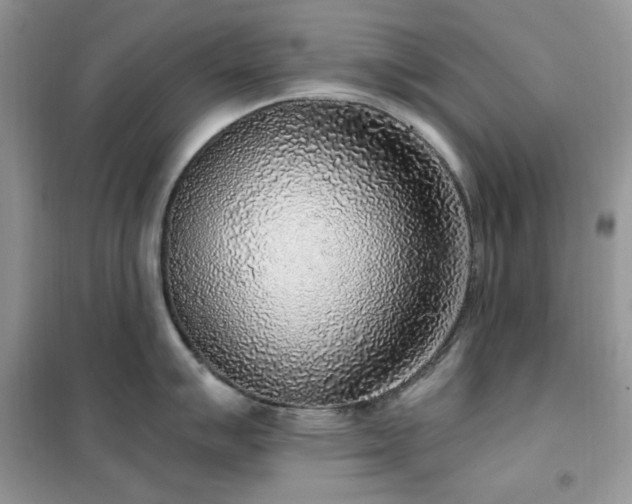 X0000102351007200808011159