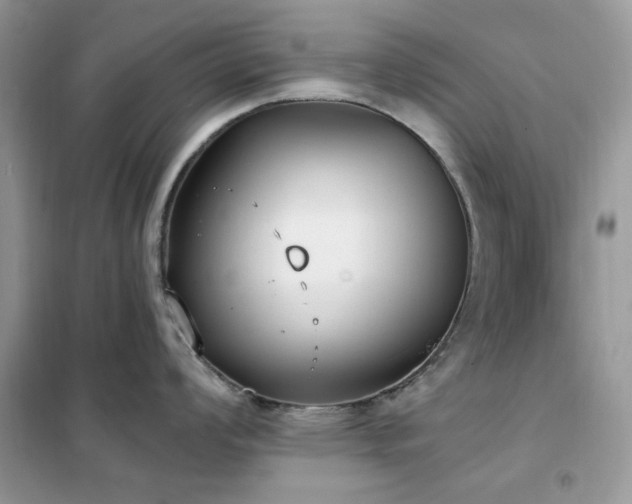 X0000102351008200808011159