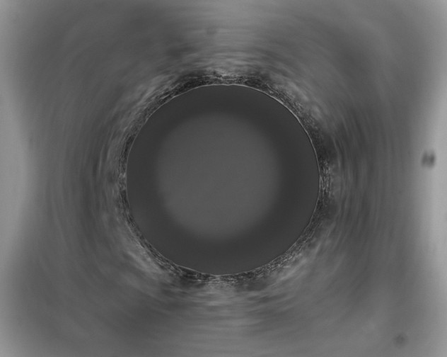 X0000102351009200808011158