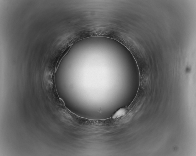 X0000102351010200808011158