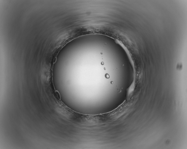 X0000102351012200808011159