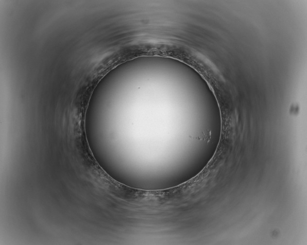 X0000102351013200808011159