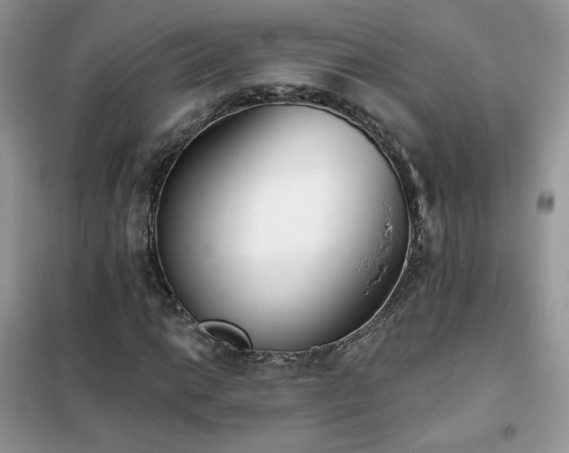 X0000102351014200808011159