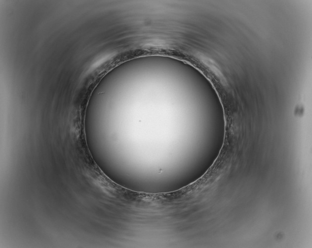 X0000102351015200808011159