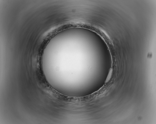 X0000102351016200808011159