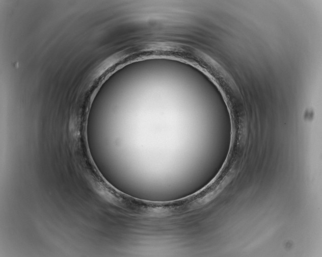 X0000102351017200808011159