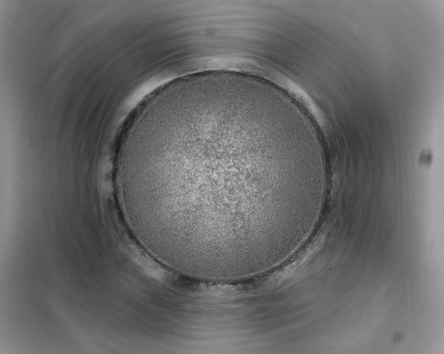 X0000102351019200808011159