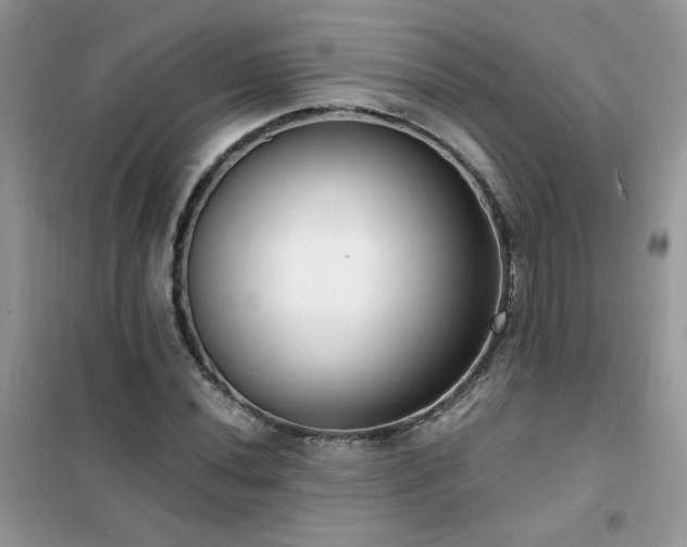 X0000102351020200808011159