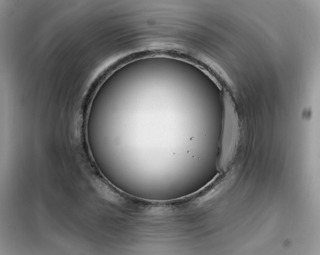 X0000102351021200808011159