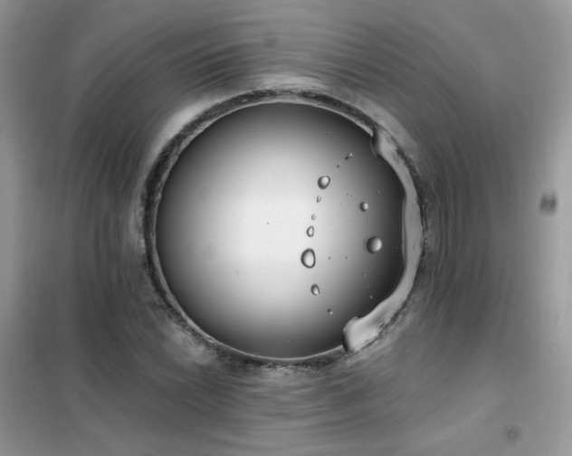 X0000102351022200808011159