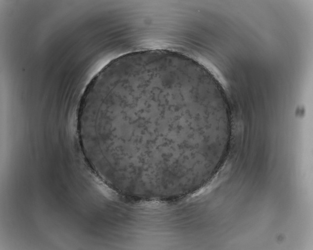 X0000102351023200808011159