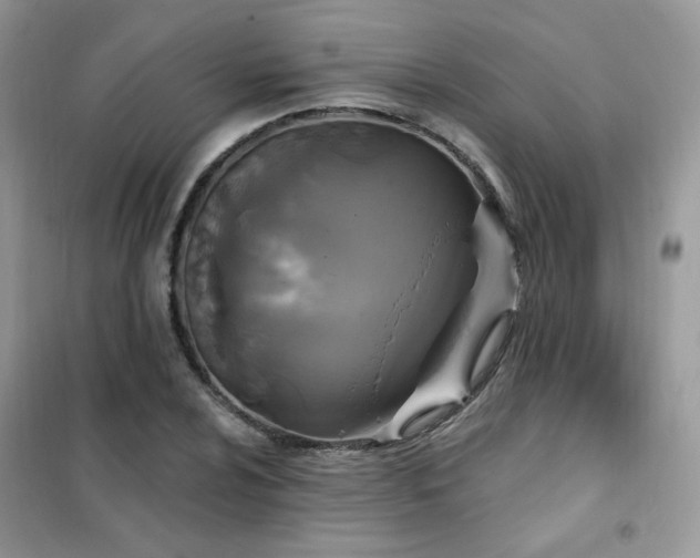 X0000102351024200808011159