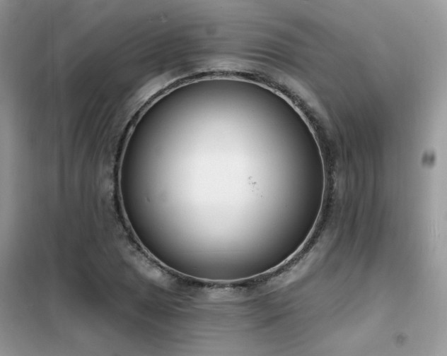 X0000102351025200808011159