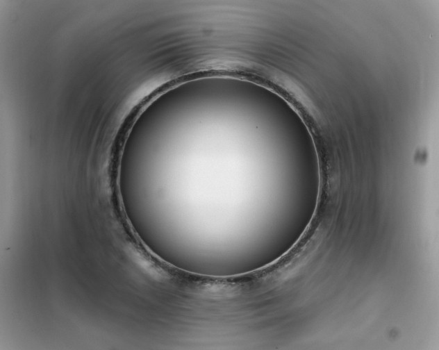 X0000102351026200808011159