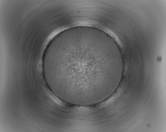 X0000102351027200808011159