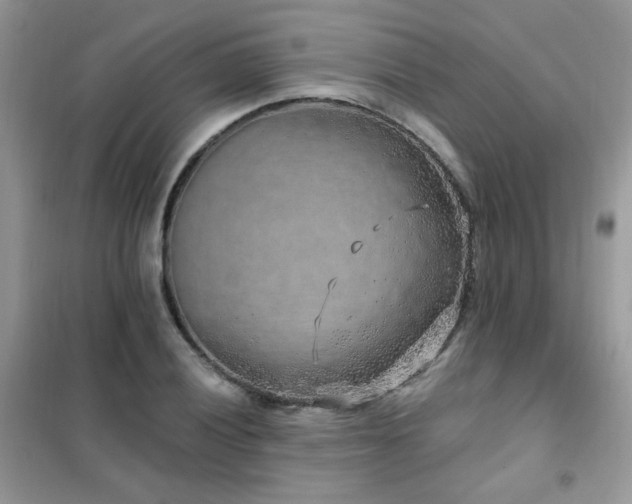 X0000102351028200808011159