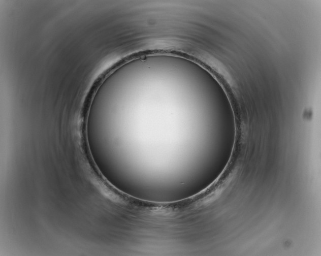 X0000102351029200808011159