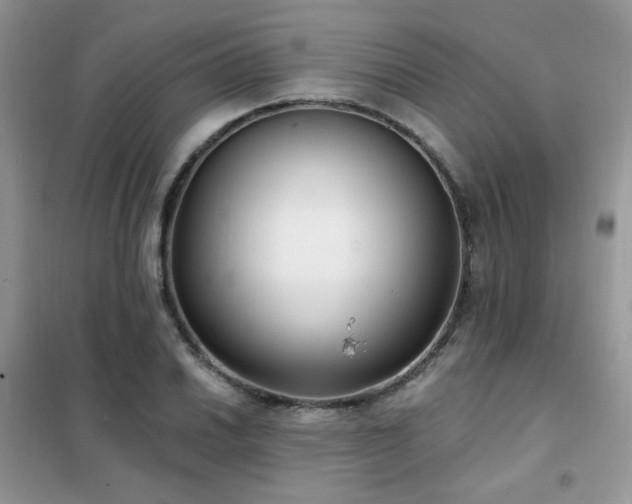 X0000102351030200808011159