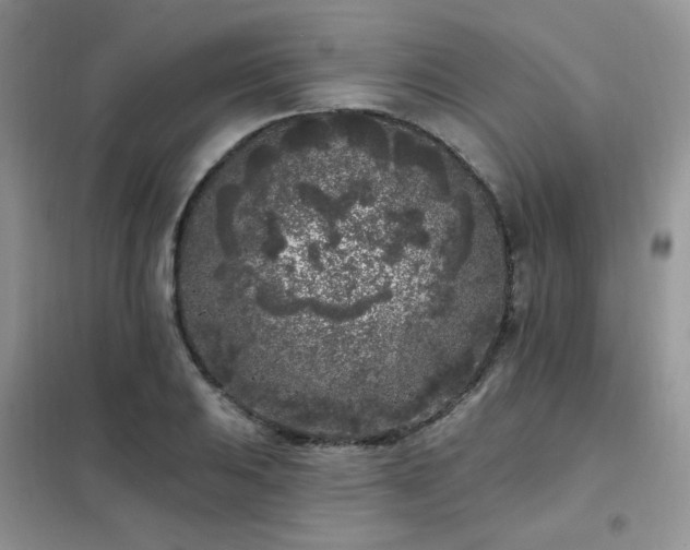 X0000102351031200808011159