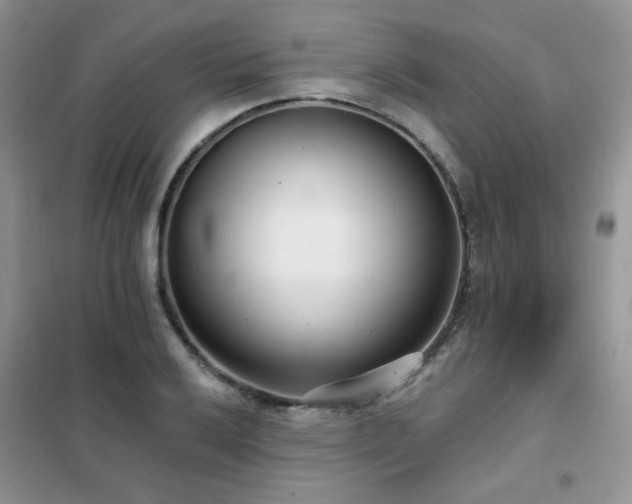 X0000102351032200808011159