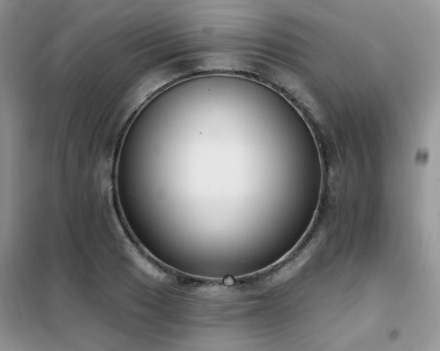 X0000102351033200808011159