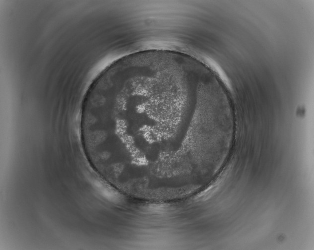 X0000102351035200808011159