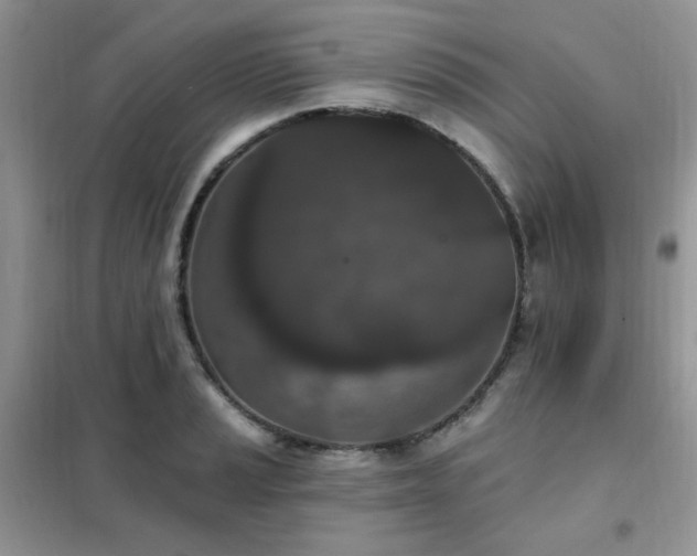 X0000102351037200808011159